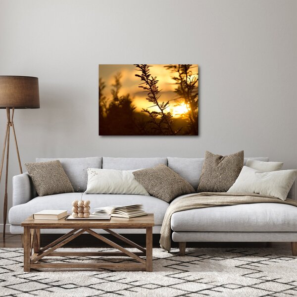 Kép - A nap lenyugszik a fák mögött (70x50 cm)