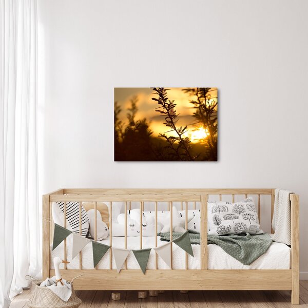 Kép - A nap lenyugszik a fák mögött (70x50 cm)