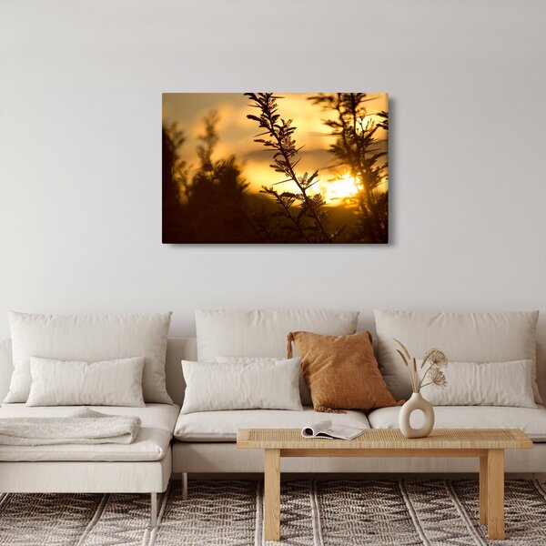 Kép - A nap lenyugszik a fák mögött (90x60 cm)
