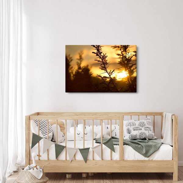 Kép - A nap lenyugszik a fák mögött (90x60 cm)