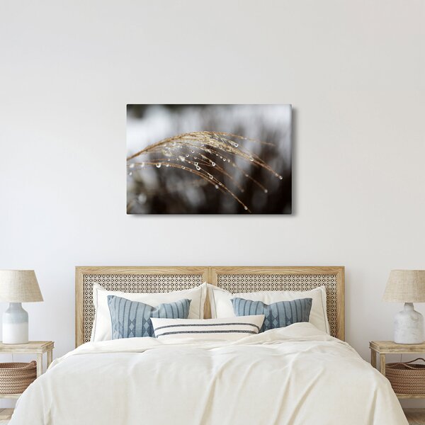 Cseppkép egy növényen (90x60 cm)