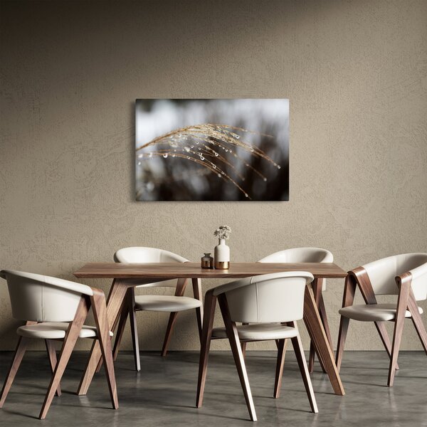 Cseppkép egy növényen (90x60 cm)
