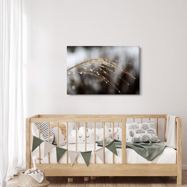 Cseppkép egy növényen (90x60 cm)