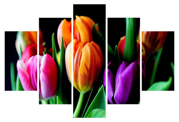 Tulipánok képe fekete alapon (150x105 cm)