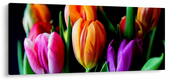 Tulipánok képe fekete alapon (120x50 cm)