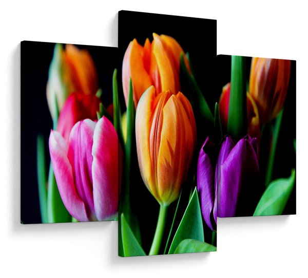 Tulipánok képe fekete alapon (90x60 cm)
