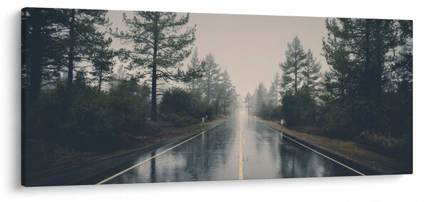 Egy út képe az esőben (120x50 cm)