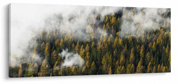 Egy erdő képe a felhők között (120x50 cm)