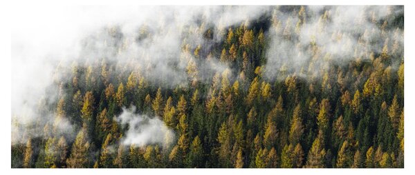 Egy erdő képe a felhők között (120x50 cm)