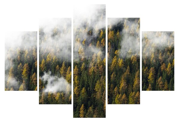 Egy erdő képe a felhők között (150x105 cm)