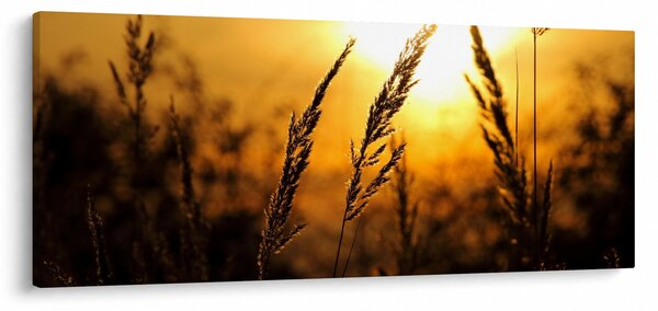 A lenyugvó nap képe (120x50 cm)
