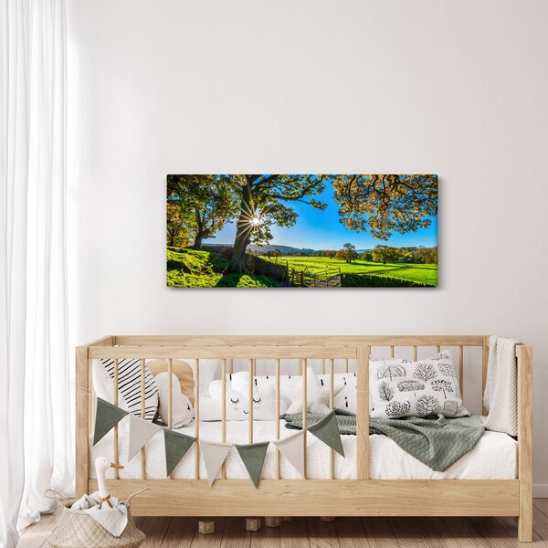 Kép - mező, kilátás (120x50 cm)