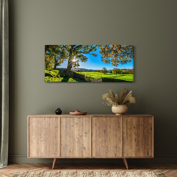Kép - mező, kilátás (120x50 cm)