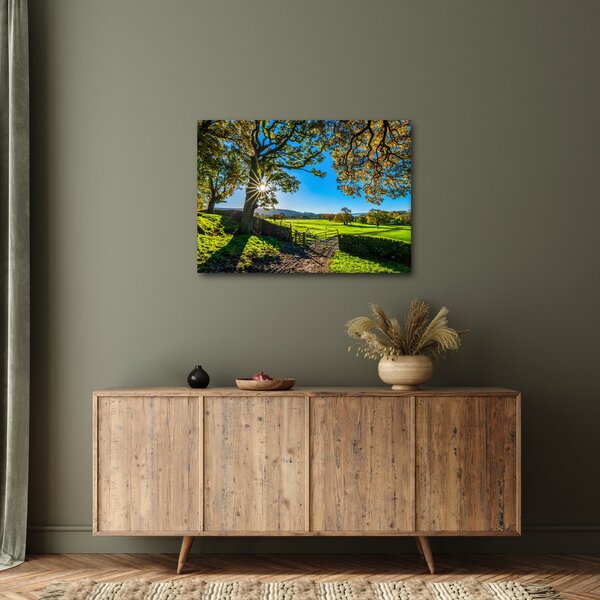 Kép - mező, kilátás (70x50 cm)