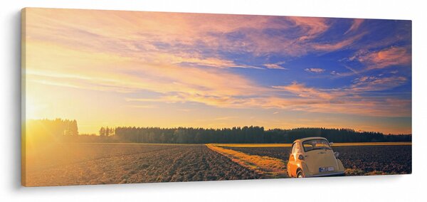 Egy sárga autó képe a mezőn (120x50 cm)