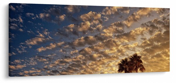 Kép - Pálmafák a felhők között (120x50 cm)