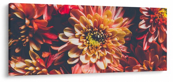 Kép - Krizantém (120x50 cm)