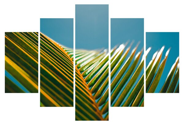 Kép - A pálmalevél részlete (150x105 cm)
