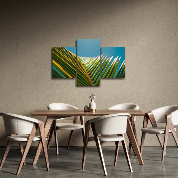 Kép - A pálmalevél részlete (90x60 cm)