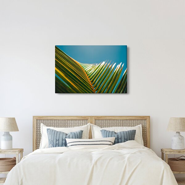 Kép - A pálmalevél részlete (90x60 cm)