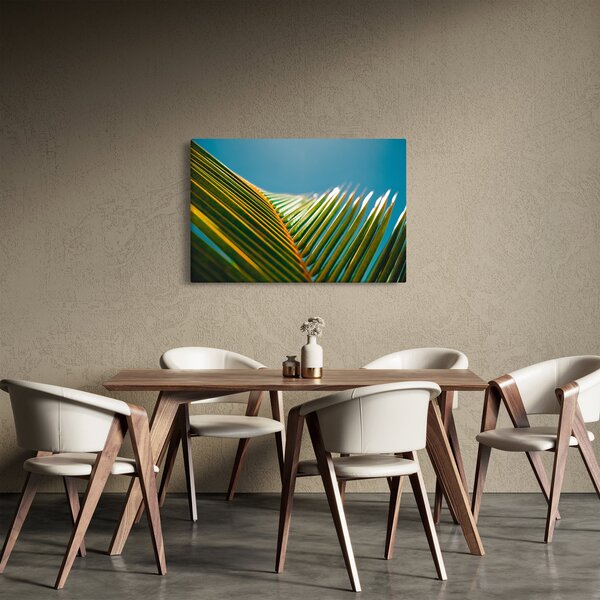 Kép - A pálmalevél részlete (90x60 cm)