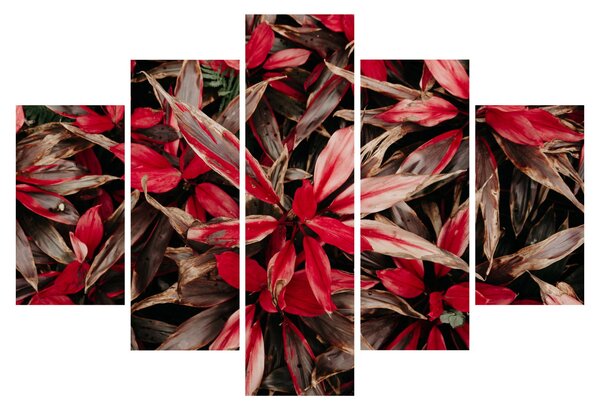 Piros szirmok képe (150x105 cm)