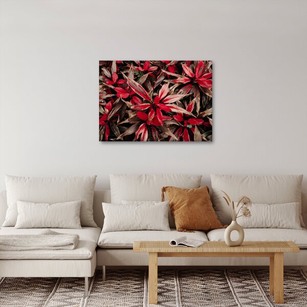 Piros szirmok képe (70x50 cm)