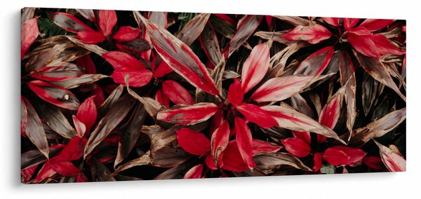 Piros szirmok képe (120x50 cm)