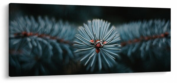 Egy tűlevelű fa gallyának képe (120x50 cm)