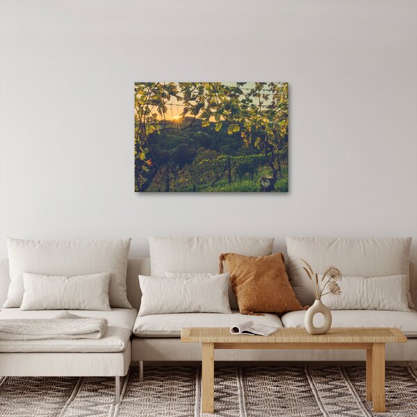 Kép - szőlőültetvény (70x50 cm)