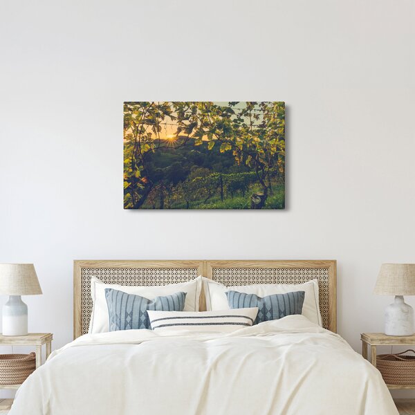Kép - szőlőültetvény (90x60 cm)