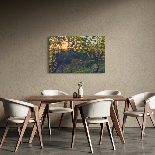 Kép - szőlőültetvény (90x60 cm)