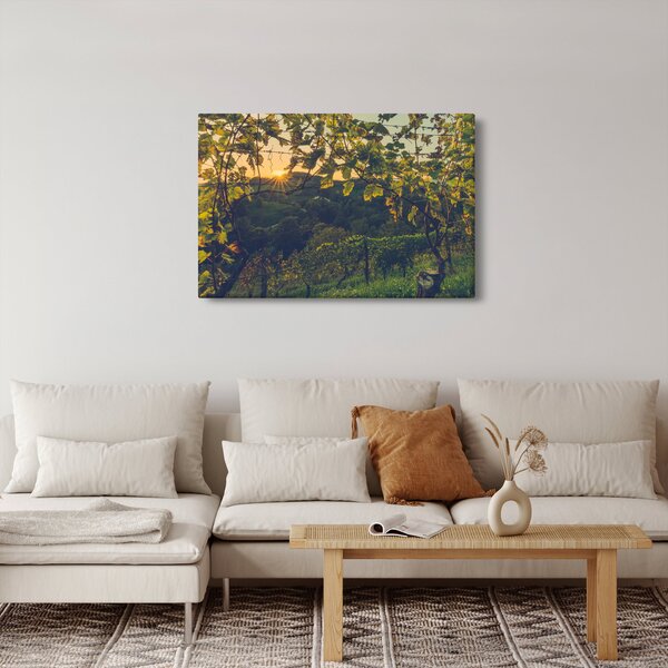 Kép - szőlőültetvény (90x60 cm)