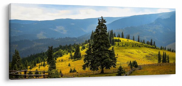 Kép - Hegyi rét (120x50 cm)