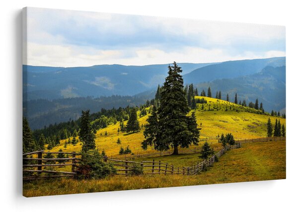 Kép - Hegyi rét (90x60 cm)