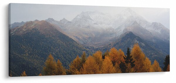Kép - Kilátás a hegyre (120x50 cm)