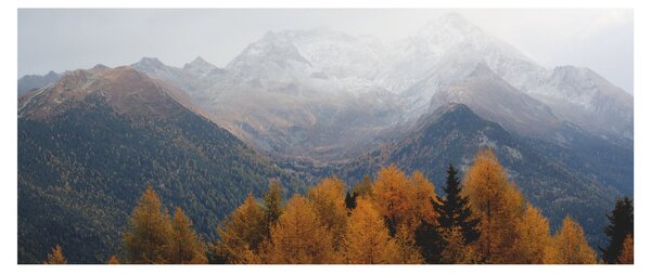 Kép - Kilátás a hegyre (120x50 cm)