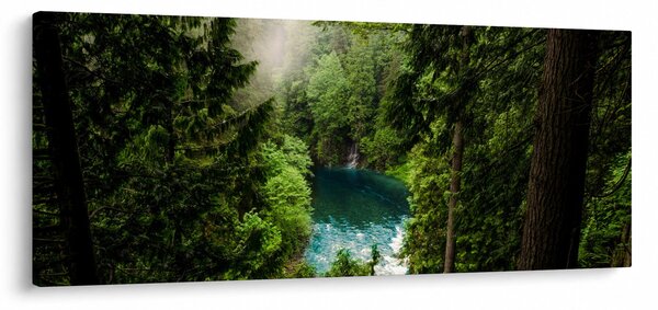 Kép - kilátás a fák között (120x50 cm)