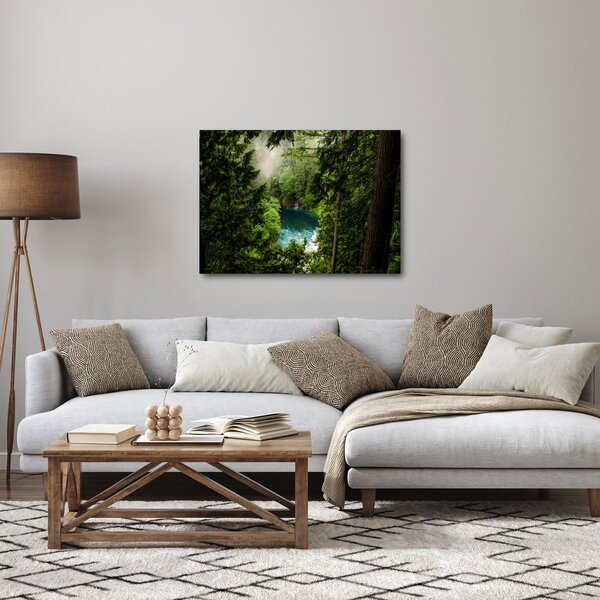 Kép - kilátás a fák között (70x50 cm)