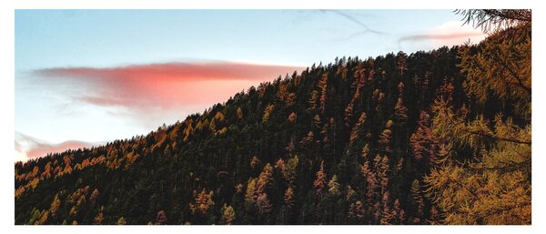 Kép a domb fölött (120x50 cm)
