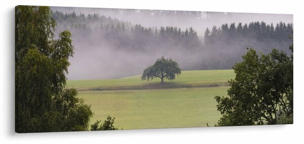 Egy kép a rétről egy fával (120x50 cm)