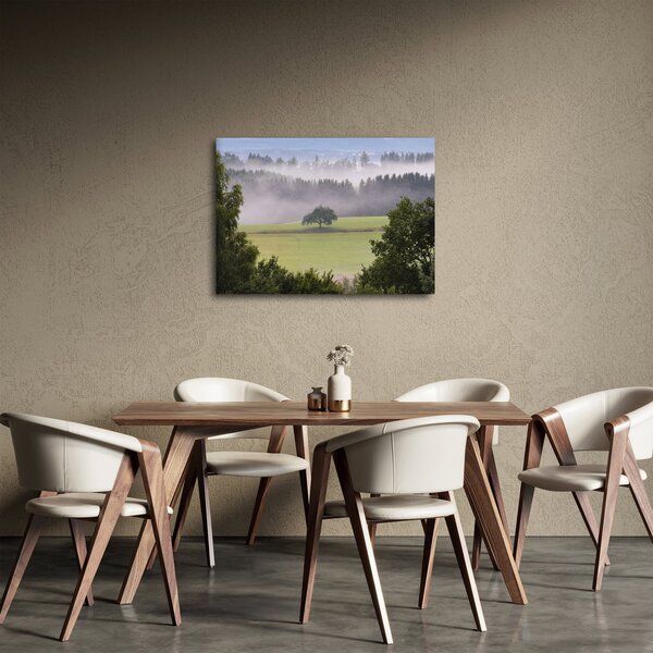 Egy kép a rétről egy fával (70x50 cm)