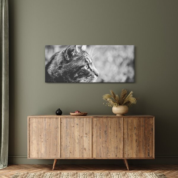 Kép - Macska (120x50 cm)