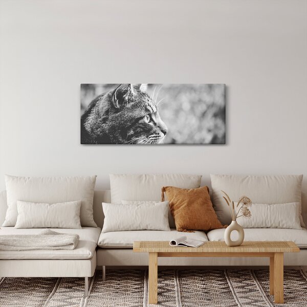 Kép - Macska (120x50 cm)