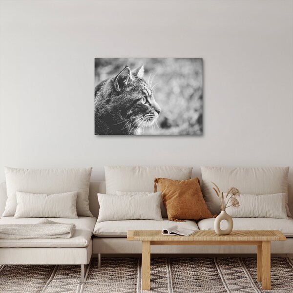 Kép - Macska (70x50 cm)