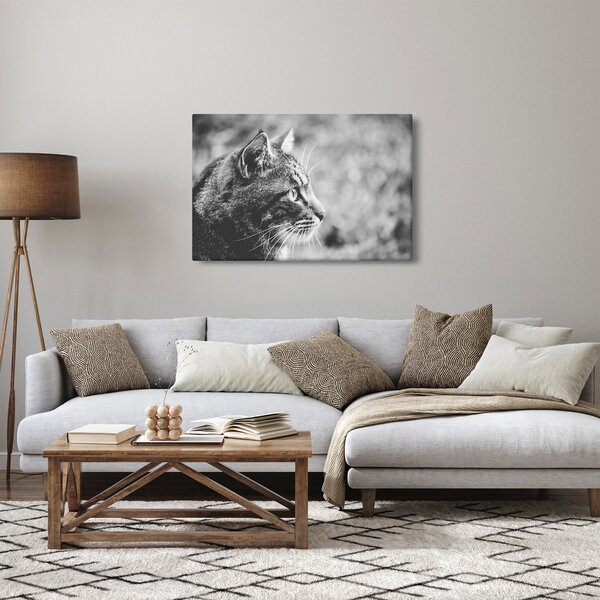 Kép - Macska (90x60 cm)