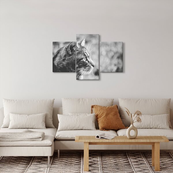 Kép - Macska (90x60 cm)