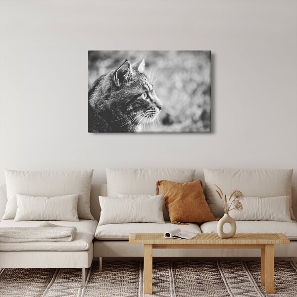 Kép - Macska (90x60 cm)