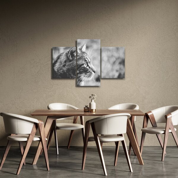 Kép - Macska (90x60 cm)