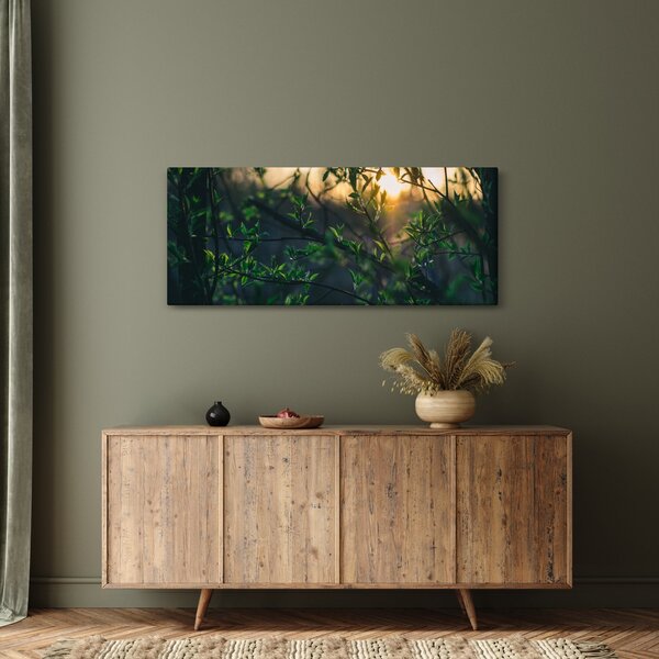 A ragyogó nap képe a fák gallyain keresztül (120x50 cm)